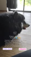 c3RwPWRzdC1tcDQmZWZnPWV5SnhaVjluY205MWNITWlPaUpiWENKcFoxOTNaV0pmWkdWc2FYWmxjbmxmZG5SelgyOTBabHdpWFNJc0luWm...c0MyZjY2I9OS00Jm9oPTAwX0FmVHE0ZFBoRFhzTnFDNjB5M3UyYnE5a29hYmFjWkIxOEYtRGpOcDR1TEZmQ0Emb2U9Njg3REY5Q0EmX25jX3NpZD1kOGQwMmI=.mp4
