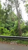 c3RwPWRzdC1tcDQmZWZnPWV5SnhaVjluY205MWNITWlPaUpiWENKcFoxOTNaV0pmWkdWc2FYWmxjbmxmZG5SelgyOTBabHdpWFNJc0luWm...I3OGYmY2NiPTktNCZvaD0wMF9BZlE5YmExRGJCMF9VaWhkNjZWRVRxZVB5VWUyaDliNXFheXQzQ0p3SkVrb25BJm9lPTY4OTAzNkRFJl9uY19zaWQ9ZDhkMDJi.mp4
