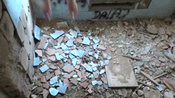 prev31613583.mp4