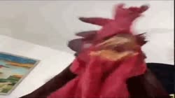 311404999456239196.mp4