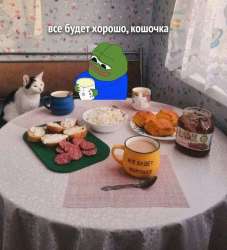 anon-котє-8715301.jpeg
