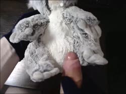 414 plush koala.mp4