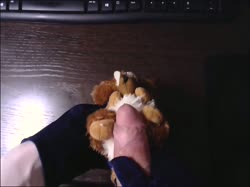 416 plush kangaroo.mp4