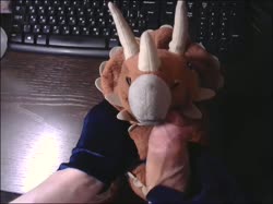 420 plush triceratops.mp4
