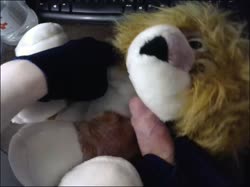 422 plush lion.mp4