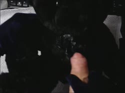 424 plush bear.mp4