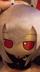 2.mp4