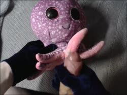435 plush octopus.mp4