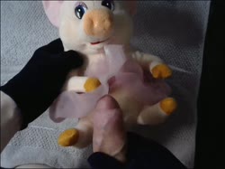 444 plush pig.mp4