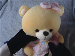 473 plush bear.mp4