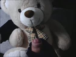 479 plush bear.mp4