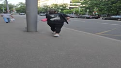 20250707190041.mp4