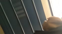5.mp4