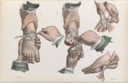 ad193231162.jpg