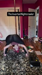 cgetsnakey-15-08-2025-0001.mp4