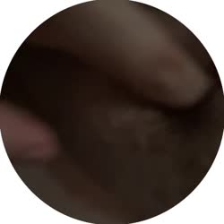 video.mp4