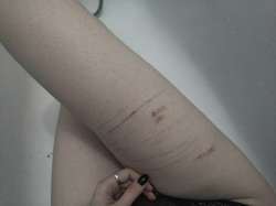 IMG20250822064622547.jpg