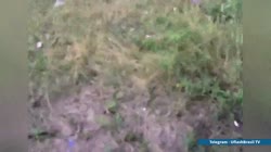 57dol7wg.mp4