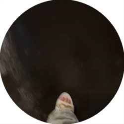 -4896341544761810548.mp4