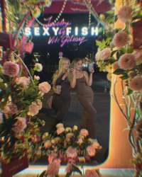 IMG1255.jpeg