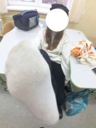 IMG20250714175244427.jpg