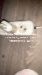 175369678620329905.mp4