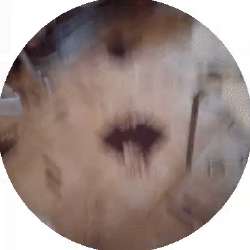 7b2ec0df0e6144.gif