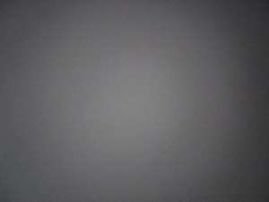 IMG4916.jpeg