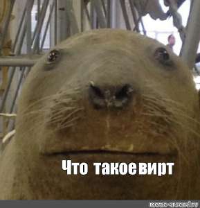 IMG4453.jpeg