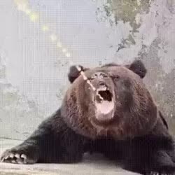 поссал.webm