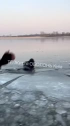 17558044833883.mp4