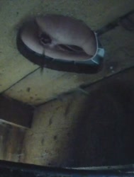 VID20250819072654074.mp4