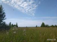 IMG20250725153446.jpg