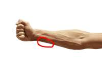 istockphoto-467974361-612x612~2.jpg
