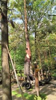 Видео+от+Николая+Романова (2).mp4