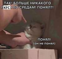 17254233119821.jpg