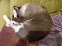 IMG20250621145308.jpg