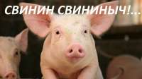 IMG20210212113356809 (1).jpg