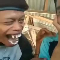 nigga.mp4