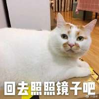 175526198141826163.jpg