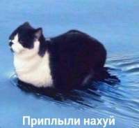 17519703749801.jpg