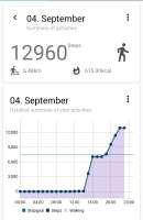 Screenshot20250904221220Pedometer.jpg