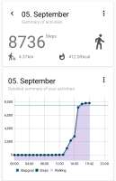 Screenshot20250905194247Pedometer.jpg