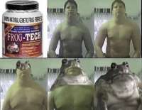 frogtech.jpg
