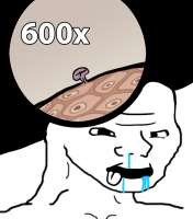 15296533672020.jpg