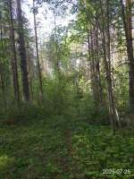 IMG20250725160230.jpg