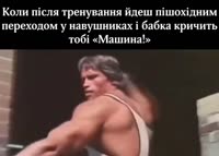17446193483511.mp4