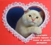 890bf748c2310141703e95fb469c8a92.jpeg