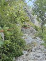 20250823150050 - Copy.jpg
