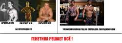 генетика.jpg